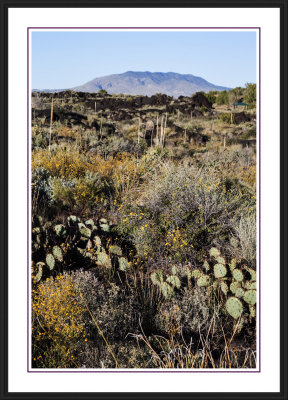 Valley of Fires