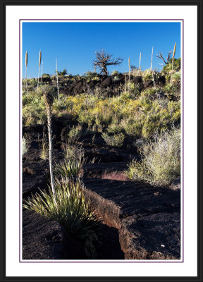 Valley of Fires