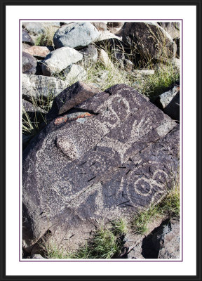Three Rivers Petroglyph Site