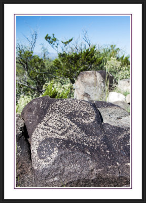 Three Rivers Petroglyph Site