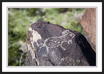Three Rivers Petroglyph Site