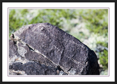 Three Rivers Petroglyph Site