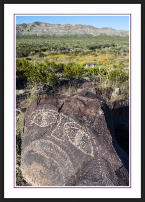 Three Rivers Petroglyph Site