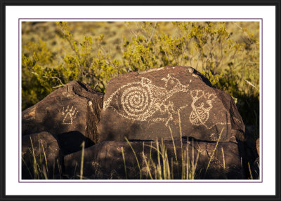 Three Rivers Petroglyph Site
