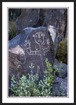 Three Rivers Petroglyph Site