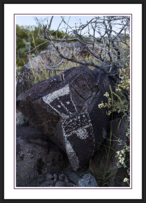 Three Rivers Petroglyph Site