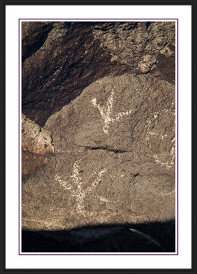 Three Rivers Petroglyph Site