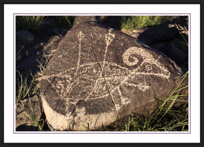 Three Rivers Petroglyph Site