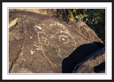 Three Rivers Petroglyph Site