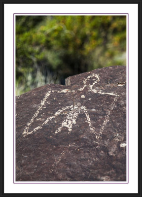 Three Rivers Petroglyph Site