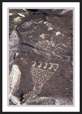 Three Rivers Petroglyph Site