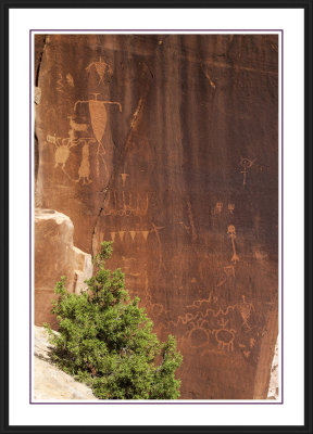 Shay Canyon