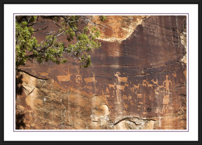 Shay Canyon