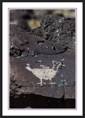 Petroglyph National Monument
