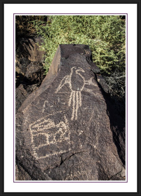 Petroglyph National Monument