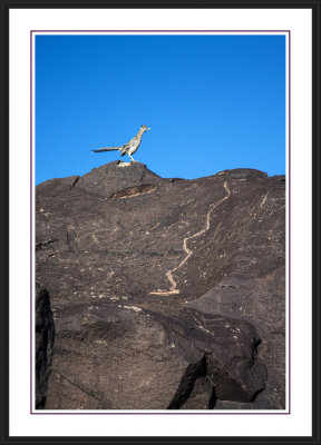 Petroglyph National Monument