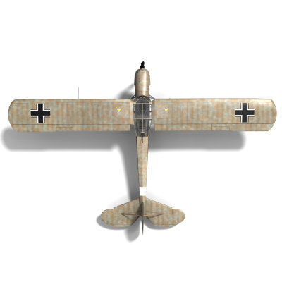 Storch
