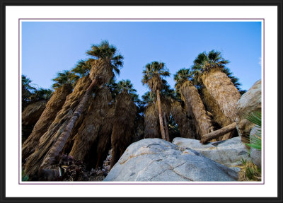 Anza Borrego