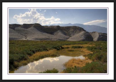 Death Valley - Salt Creek