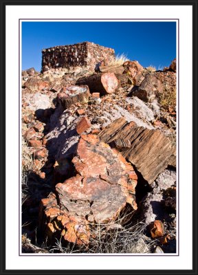 Petrified Forest National Park