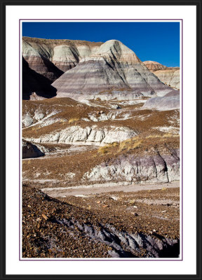 Petrified Forest National Park