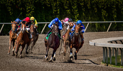 Emerald Downs:  Click image to open gallery
