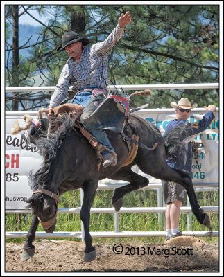 Saddle Bronc Riding