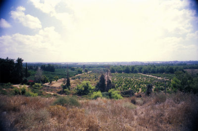 g9/08/554308/3/152833882.Zse2T6HE.jpg