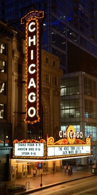 Chicago Theatre 20x40 color.jpg