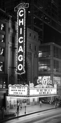 Chicago Theatre 40x20.jpg