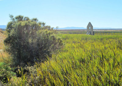 Looking out over the wetlands