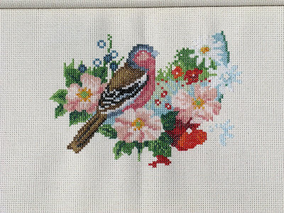 Chaffinch - 60 hours