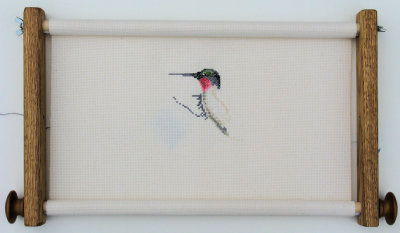 Hummingbird - 17 hours