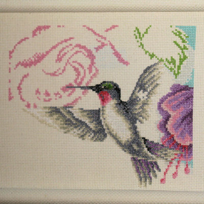 Hummingbird - 80 hours