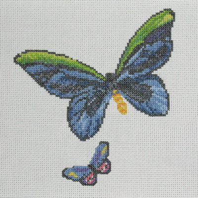 Rainforest Butterflies - small butterfly completed