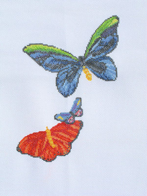 Rainforest Butterflies - orange butterfly completed