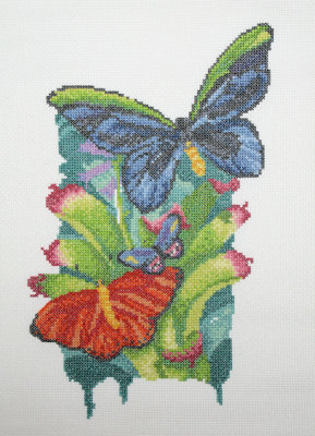 Rainforest Butterflies - Lower half/133 hours