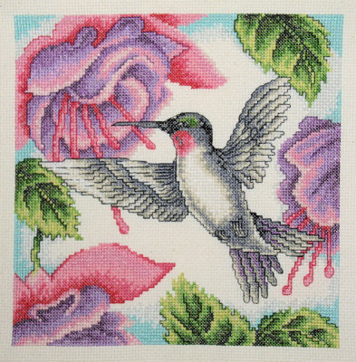 Hummingbird - 184 hours COMPLETED!