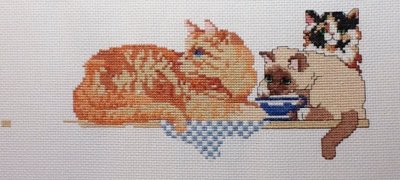 Too Many Cats - 58 hours