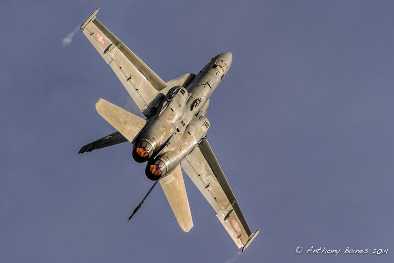 Swiss Hornet