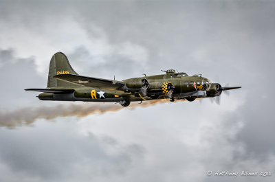 Sally B