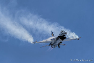 Belgian Air Component F-16AM