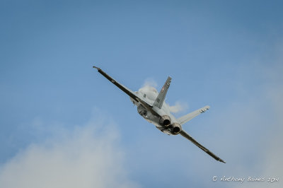 Swiss Air Force F/A-18 Hornet