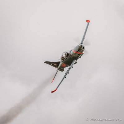 Polish Air Force PZL-130TC Turbo Orlik, Orlik Aerobatic Team