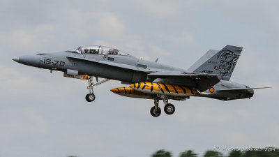 Spanish Hornet
