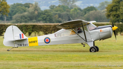 Auster TW501
