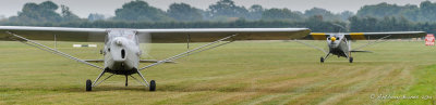 Two Austers Taxiing