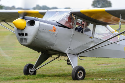 Auster TW501