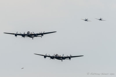 Vera, Thumper and their Spitfire escorts