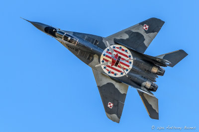 _AJB2977.jpg